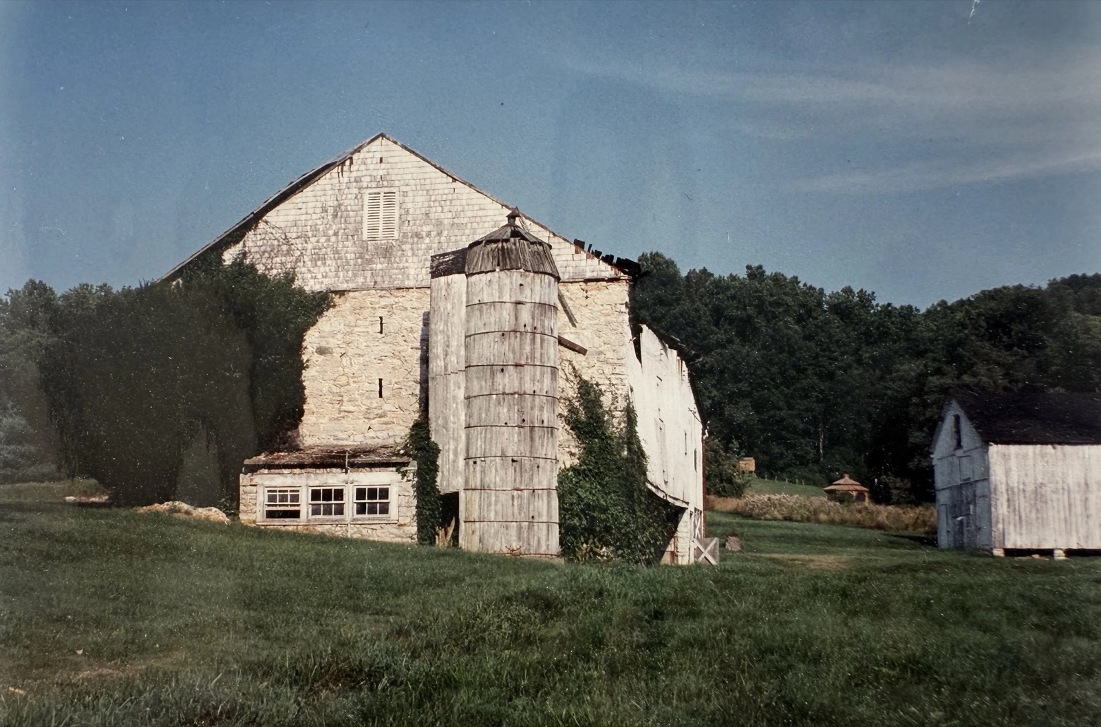 An old photograph of the stone bank barn and silo at Springlake, with a white outbuilding at right